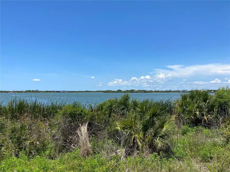 PALEO POINT DR, Ruskin, FL 33570