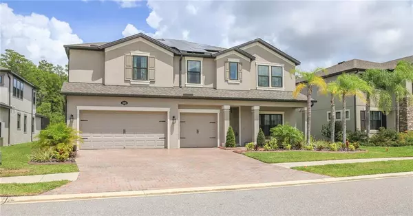 18875 ROSEATE DR, Lutz, FL 33558