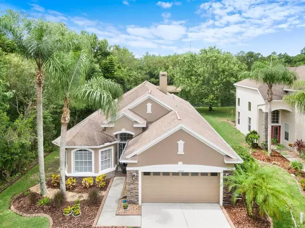 11602 GREENSLEEVE AVE,  Tampa,  FL 33626