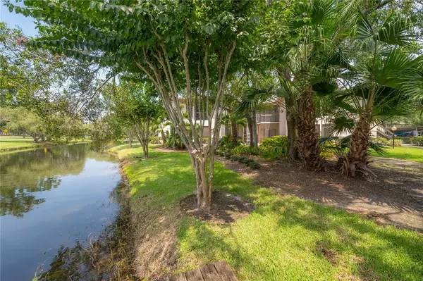 Palm Harbor, FL 34685,3366 MERMOOR DR #1103