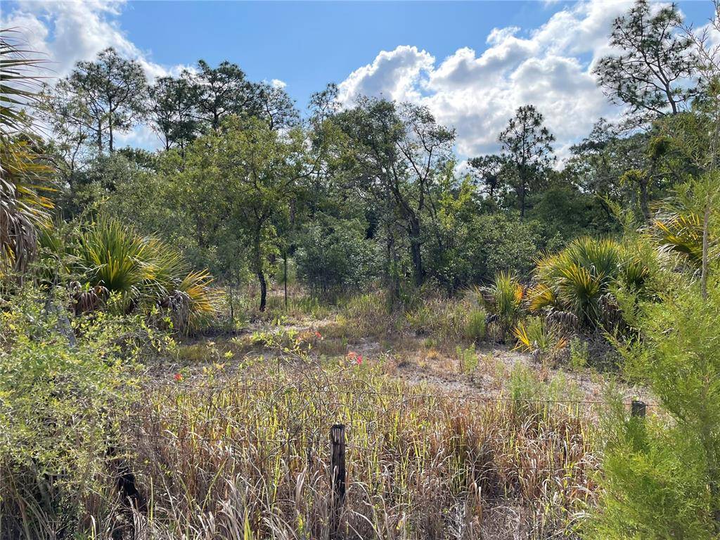 GRANT ST, Brooksville, FL 34613