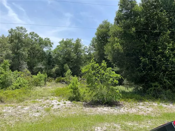 NORTHSIDE DR E, Lake Wales, FL 33853