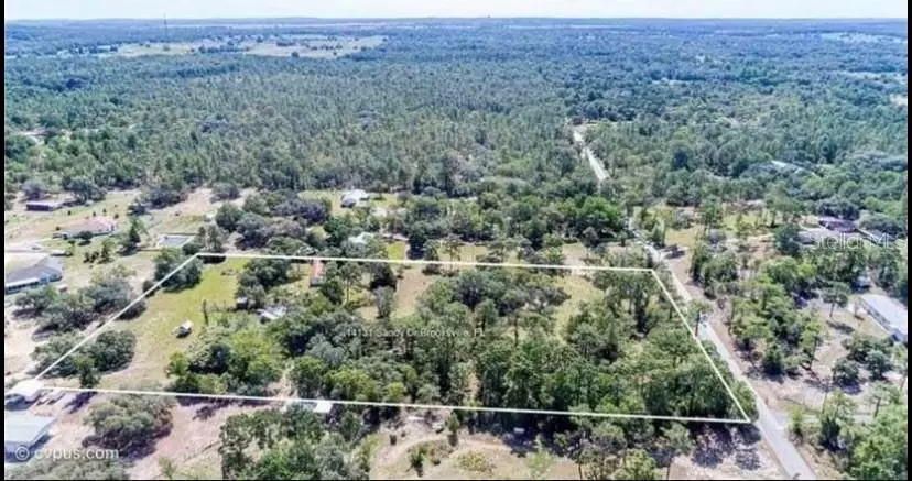 SANDY DR, Brooksville, FL 34613