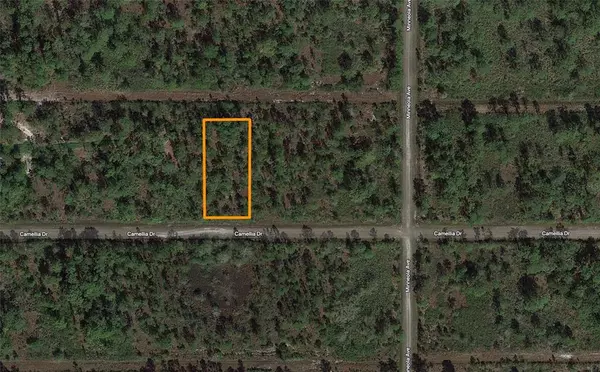 508 CAMELLIA DR, Indian Lake Estates, FL 33855