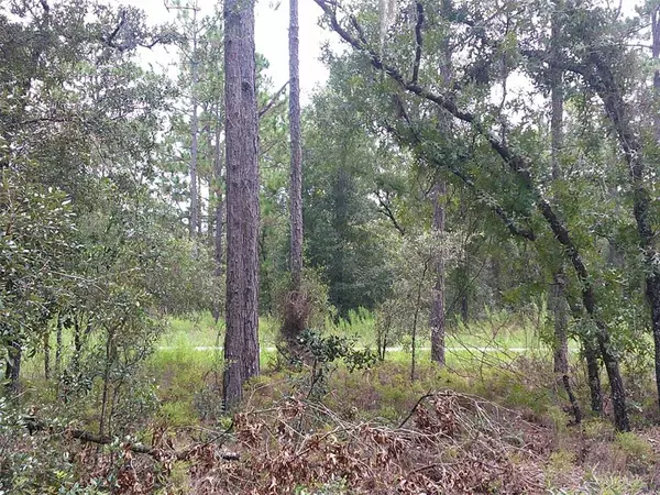 Dunnellon, FL 34431,00 NW REDWOOD RD