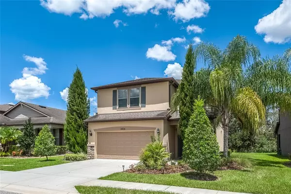 4406 O ROURKE CT, Wesley Chapel, FL 33543