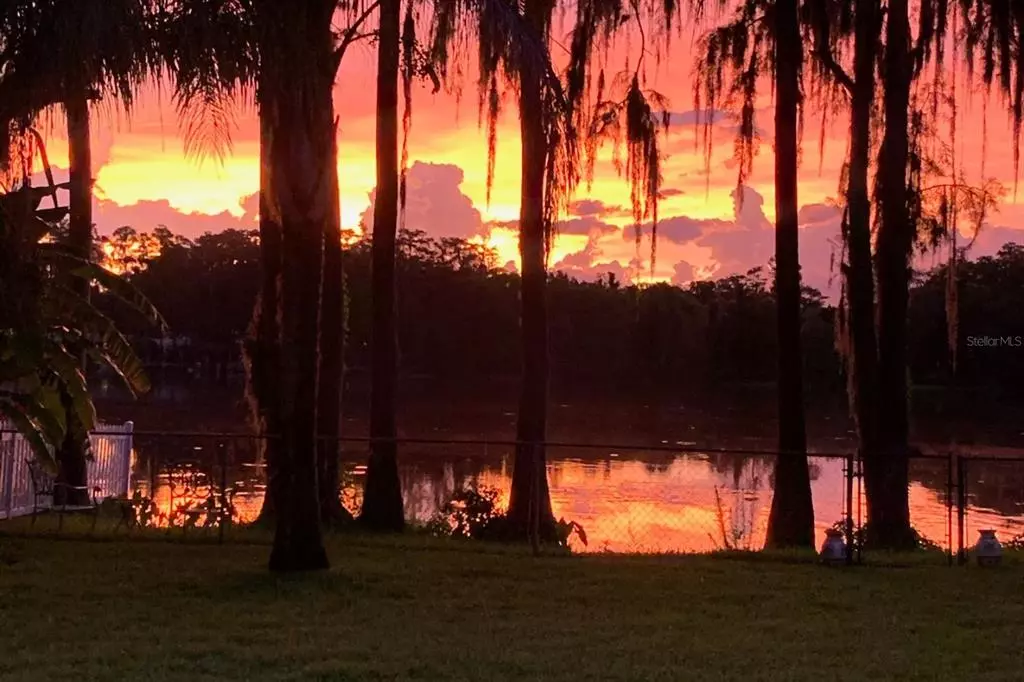 Land O Lakes, FL 34639,4111 COX DR