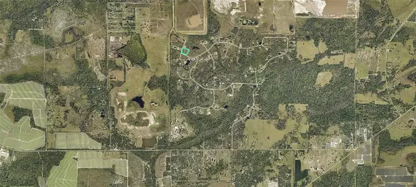 Myakka City, FL 34251,39705 11TH AVE E