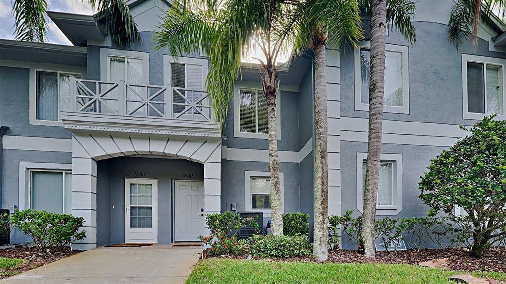 18185 PARADISE POINT DR, Tampa, FL 33647