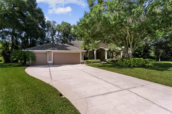 Lutz, FL 33549,723 FAYETTE PL