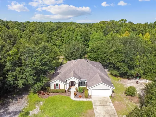 10317 BRYANT RD, Lithia, FL 33547