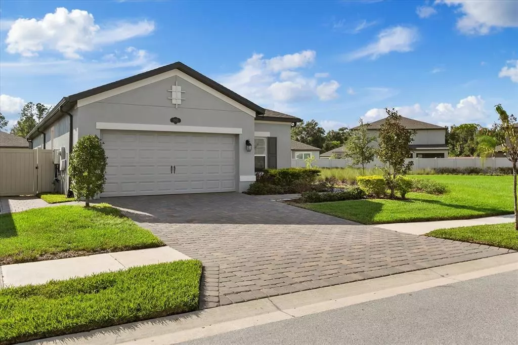 Lutz, FL 33558,1965 PARTERRE AVE