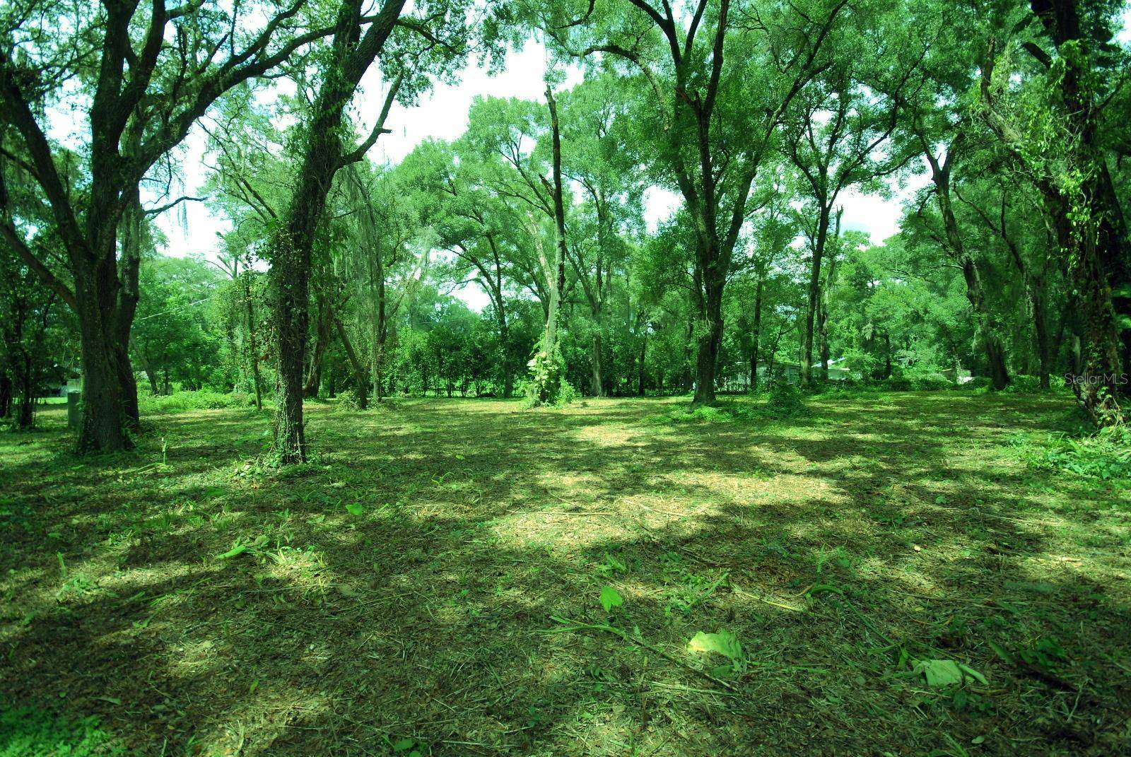 5217 PINE ST,  Seffner,  FL 33584