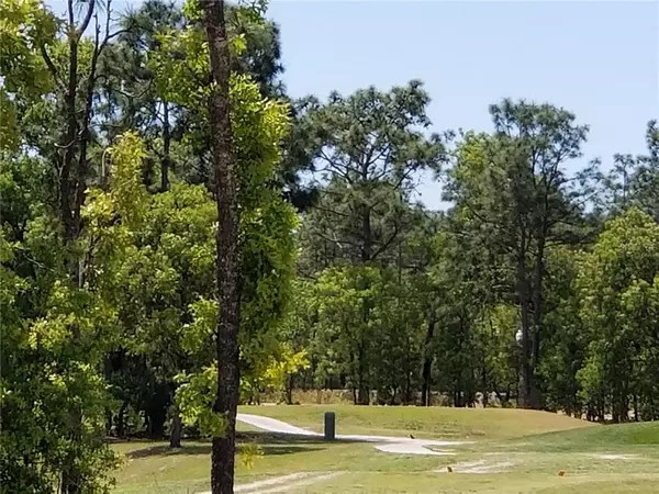 Ocala, FL 34472,73 HICKORY COURSE LOOP