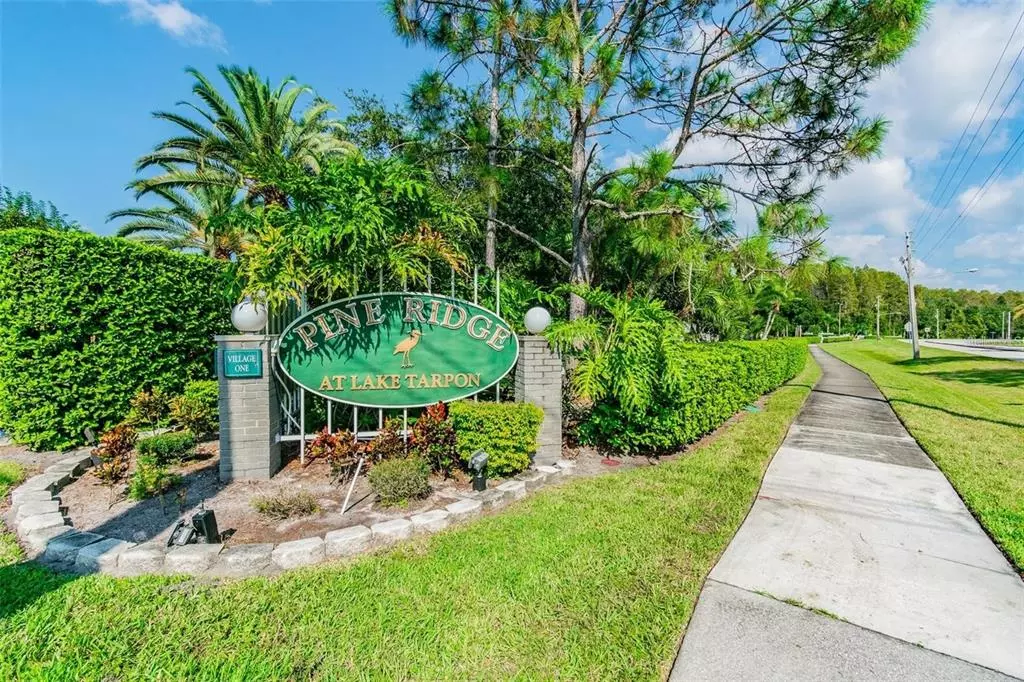 Tarpon Springs, FL 34688,3101 LAKE PINE WAY #B3