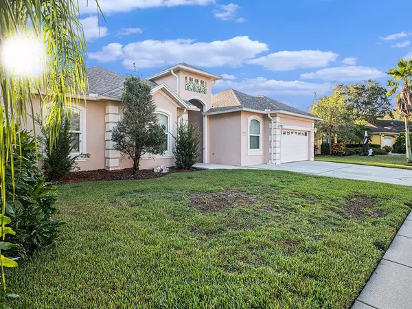 Lutz, FL 33549,1336 ALANA CT