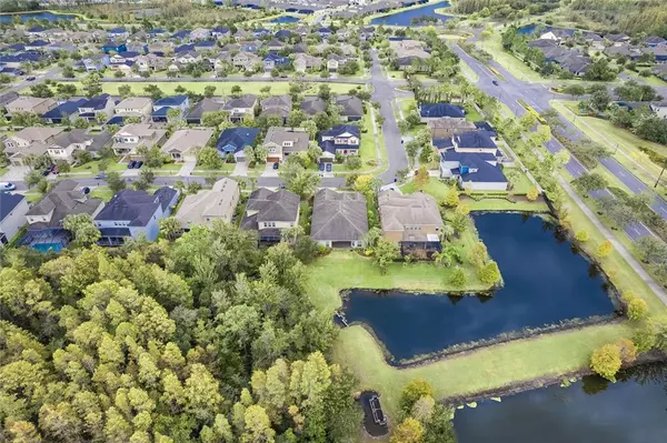 Land O Lakes, FL 34637,8797 BELLA VITA CIR