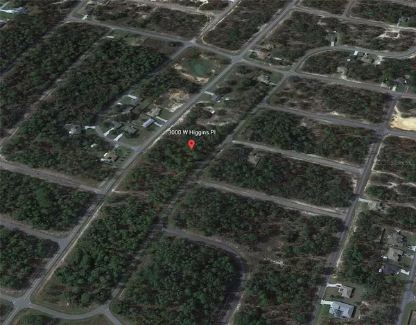 Citrus Springs, FL 34433,3000 W HIGGINS PL