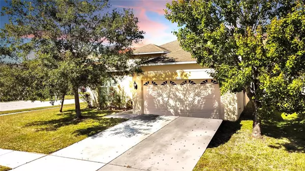 Wesley Chapel, FL 33545,30541 NORSEMAN PL