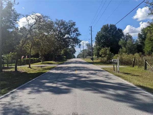 Spring Hill, FL 34610,17033 NANDY LN