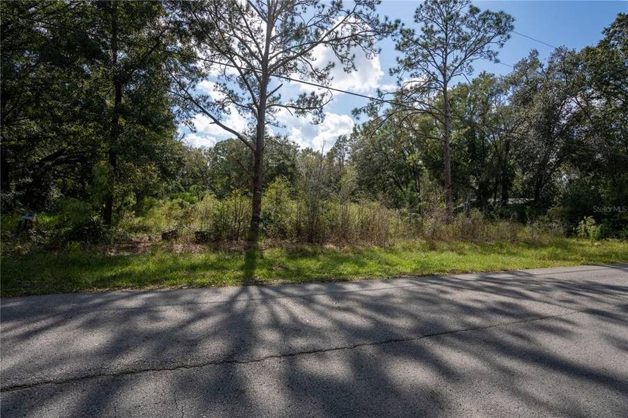 26236 FOAMFLOWER BLVD, Wesley Chapel, FL 33544