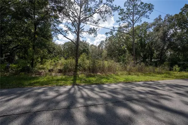 Wesley Chapel, FL 33544,26236 FOAMFLOWER BLVD