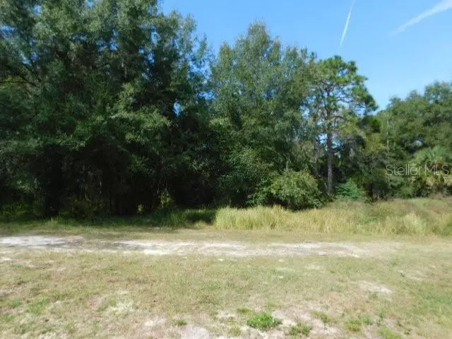 Dade City, FL 33523,0 CEDARFIELD DRIVE