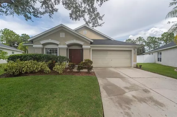 13211 EVENING SUNSET LN, Riverview, FL 33579