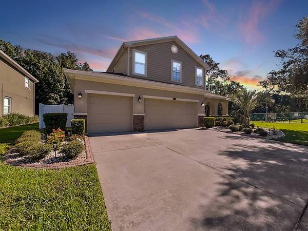 3011 CALVANO DR, Land O Lakes, FL 34639