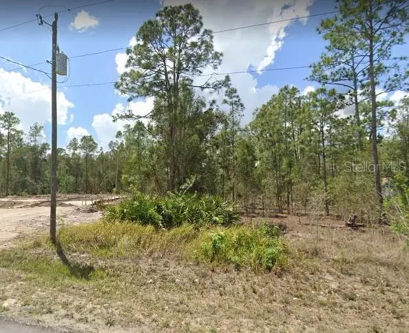 Lehigh Acres, FL 33972,1317 MCARTHUR AVE