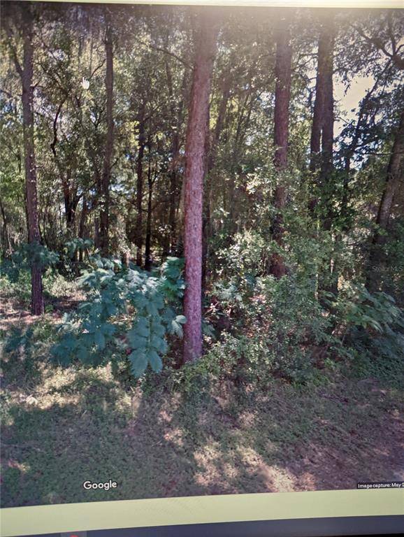 Dunnellon, FL 34433,6462 W RIVERBEND RD