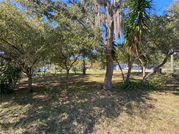 New Port Richey, FL 34654,11731 BRUIN DR