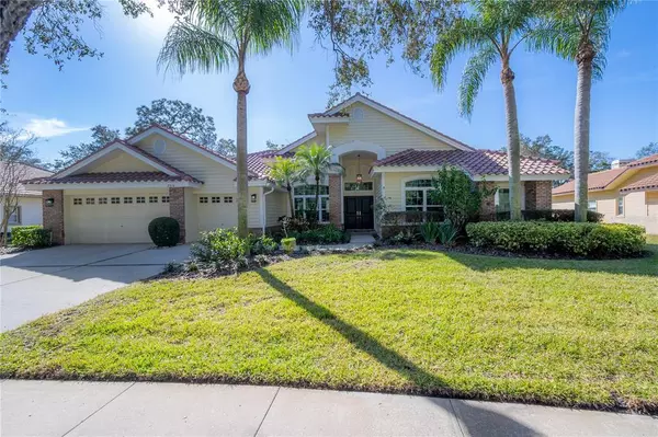 Palm Harbor, FL 34684,3516 WOODRIDGE PL