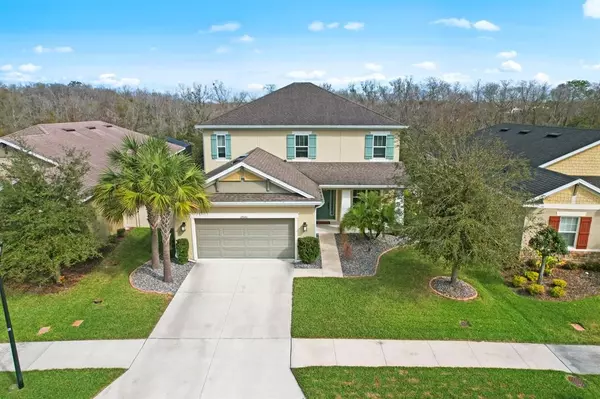 27043 CAROLINA ASTER DR,  Wesley Chapel,  FL 33544