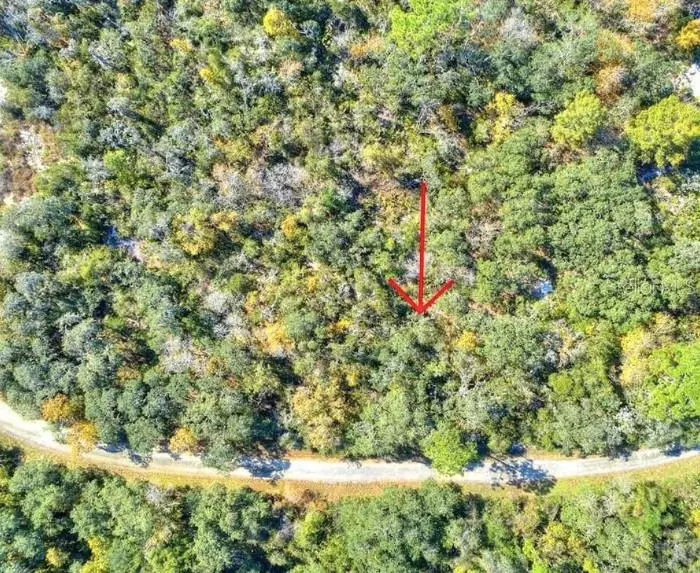 Lake Placid, FL 33852,1216 CACOA RD