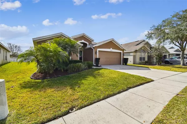 Wesley Chapel, FL 33545,6739 RUNNER OAK DR