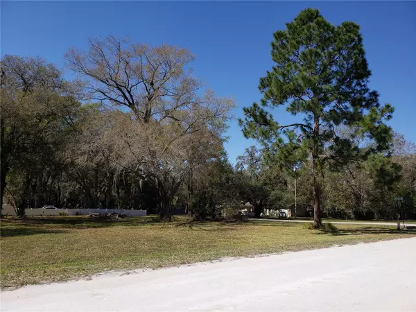 SANDEN DRIVE (LOT 9), Wesley Chapel, FL 33545