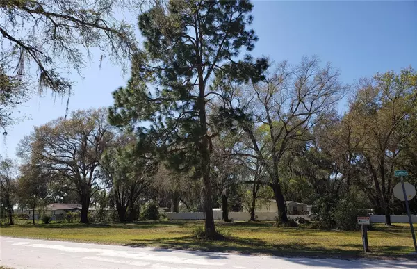 Wesley Chapel, FL 33545,SANDEN DRIVE (LOT 9)