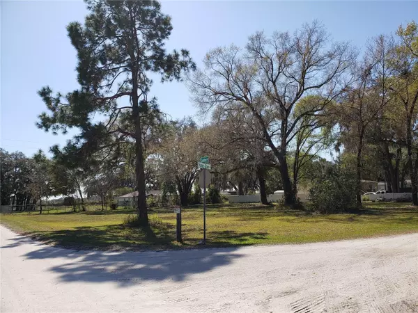 Wesley Chapel, FL 33545,SANDEN DRIVE (LOT 10) DR