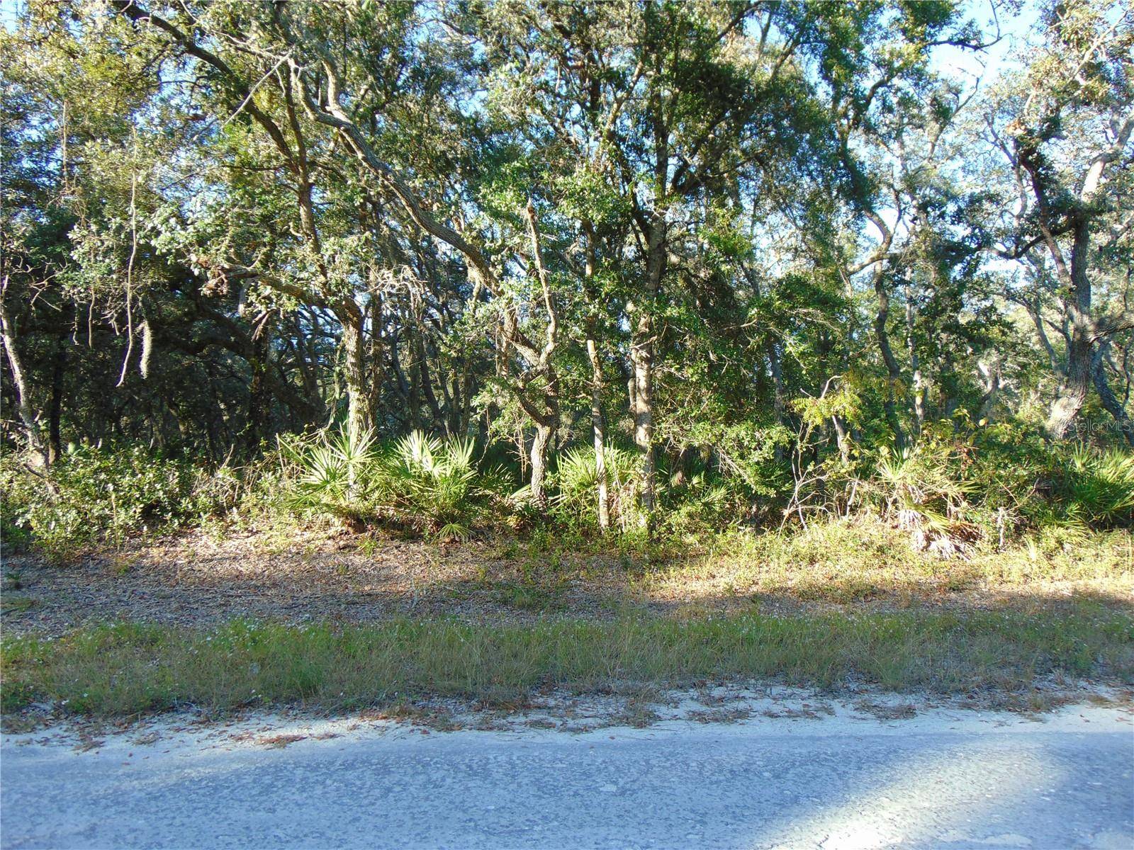 MANUEL ST, Webster, FL 33597