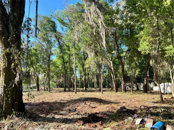NORTHEAST 2ND AVE, Lutz, FL 33549