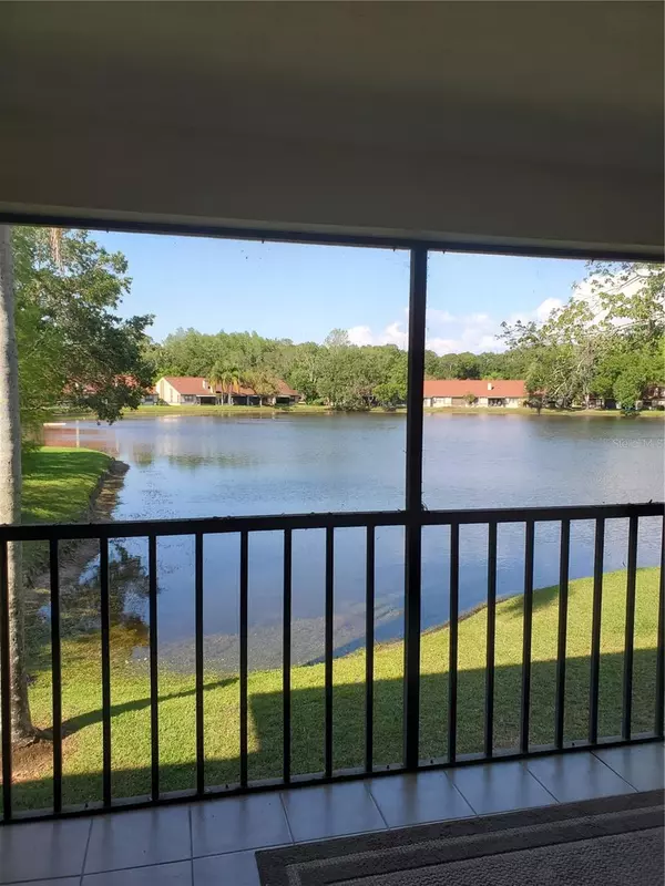 Palm Harbor, FL 34685,3423 MERMOOR DR #206