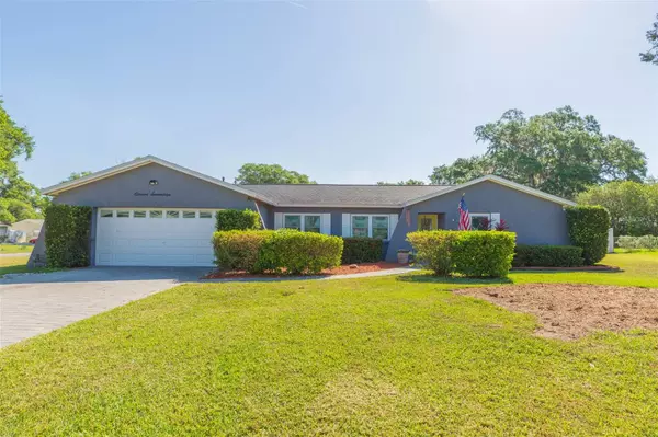 1117 LADY ELAINE DR, Valrico, FL 33594