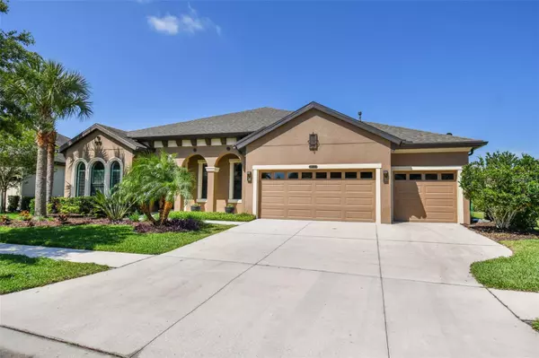 Land O Lakes, FL 34637,8427 SWISS CHARD CIR