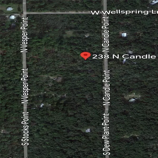 Crystal River, FL 34429,238 N CANDLE PT