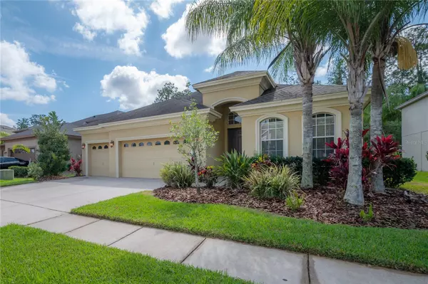 Wesley Chapel, FL 33544,3506 GRASSGLEN PL