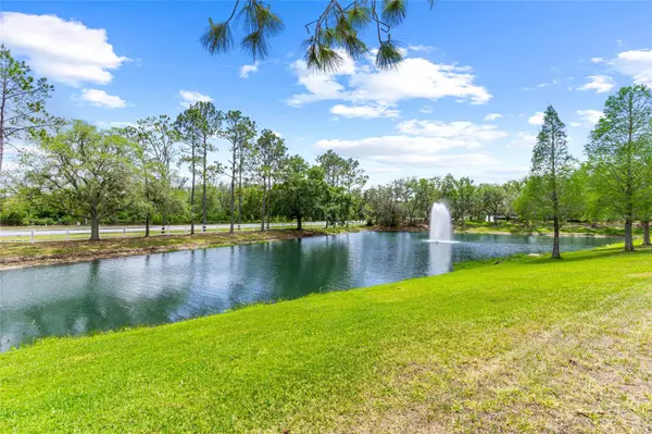 Land O Lakes, FL 34639,3346 BROKEN BOW DR