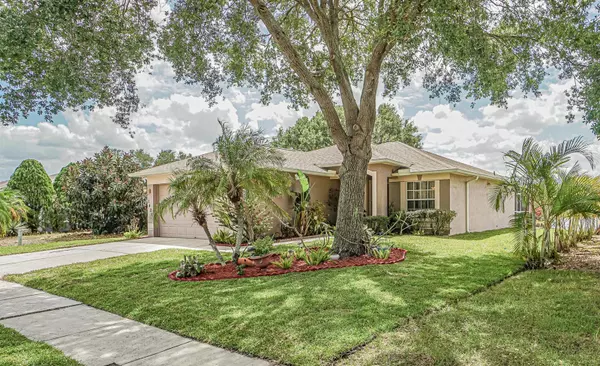 1421 BIRCHSTONE AVE, Brandon, FL 33511
