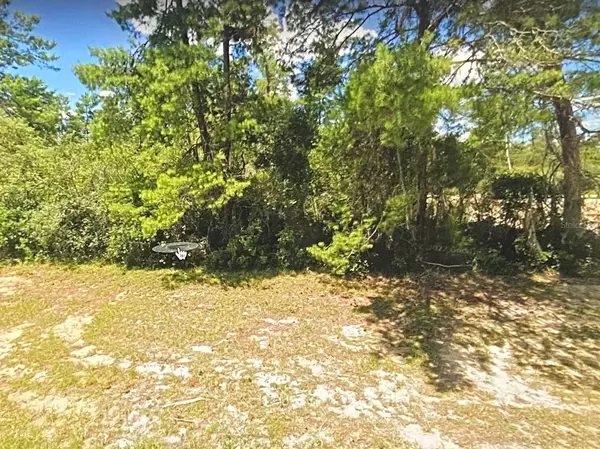 Ocala, FL 34473,00 SW 22ND TERRACE RD