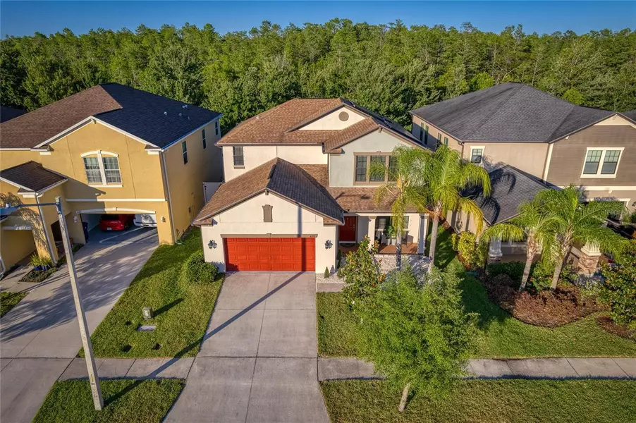 4378 SHREWBURY PL, Land O Lakes, FL 34638